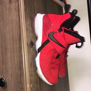 Lebron 14(worn twice)